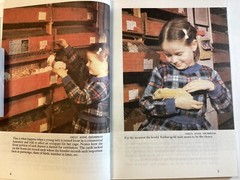 Know Your Hamster – Earl Schneider – 64 Pages -Pet Library No 754 -Free Shipping