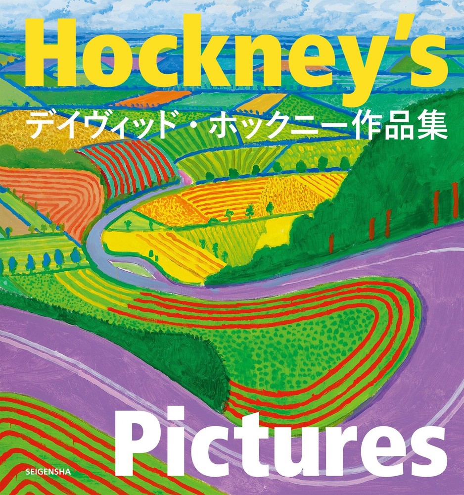 David Hockney Art Book 496 pages Painting Drawing Photo Collection Japan NEW