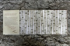 Lane Smith – Stickler Loves the World SIGNED 1st Edition