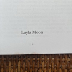 Layla Moon Books – Lot Of 3 – Paperback – Números Angelicales- El Único Libro –
