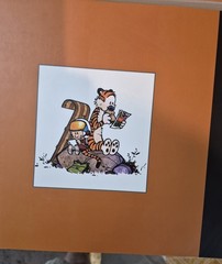 The Complete Calvin and Hobbes • 4 Book Box Set (Paperback)