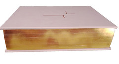The Jesus Bible Pink with Gold In Box Louie Giglio Leather soft over board