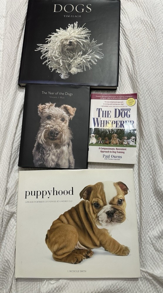 4 Dog Books