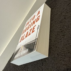 Into A Raging Blaze by Andreas Norman (Paperback, 2014)