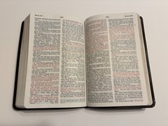 NKJV Holy Bible Giant Print Red Letters Leather New King James Brown Nelson