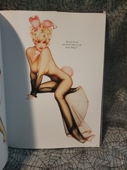 Malibu Cheesecake Pinup Art of Olivia Hardcover Ozone Productions 2011 1st Print