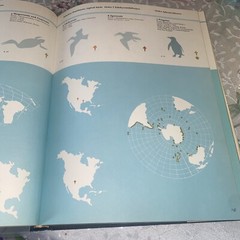 THE WORLD OF BIRDS, J. Fisher, Roger Tory Peterson, 1st Ed, 1964, HCDJ