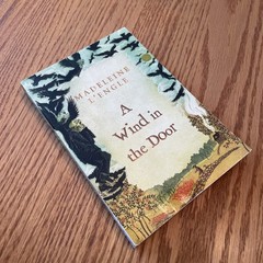 A Wrinkle in Time Series – Madeleine L’Engle