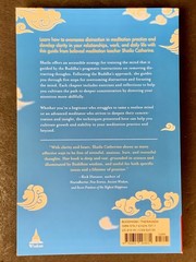Mindfulness Meditation – Lot of 4 – Jon Kabat-Zinn, „Buddha’ Brain” – Softcover