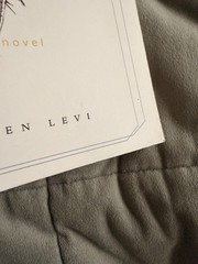 *Theo of Golden* By Allen Levi RARE SELF PUBLISHED 1st Edition Paperback
