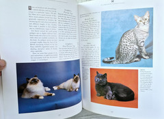 The Complete Cat Book by Paddy Cutts 1999 Barnes & Noble