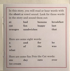 Pete the Cat I Can Read Phonics Kids Decodable Books Lot 12