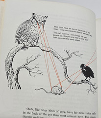 SIGNED Vtg 1981 WHAT DO YOU KNOW David Harrison HC Illus TRIVIA 1st Prtg