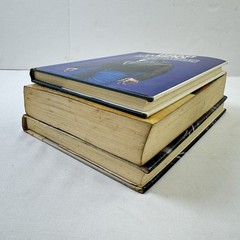 AA ATTANASIO 1st Ed Book Lot BEASTMARKS In Other Worlds RADIX William Morrow