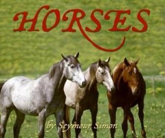 Horses – Hardcover By Simon, Seymour – GOOD
