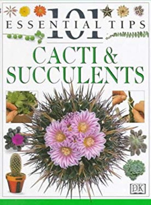 Cacti and Succulents Paperback Deni, Hewitt, Terry Bown