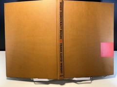 When Democracy Builds by F.L. Wright, University of Chicago, 1945 first, good