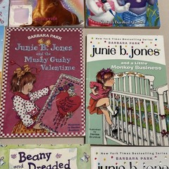 Lot Of 13 Chapter Books Girls Interest Grades 1st-3rd Ages 6-9 J