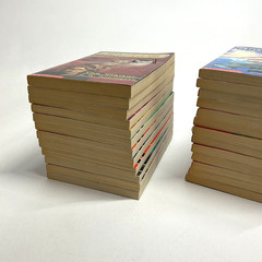 Animorphs Books Lot 42 Vintage Series Set & Megamorphs Applegate 90s Scholastic
