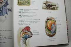 NEW – Dinotopia by James Gurney – CHINESE LANGUAGE Edition 1992 Hardcover