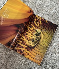 🟥 May 2026 National Geographic magazine Secrets of Bees, robots SPECIAL ISSUE