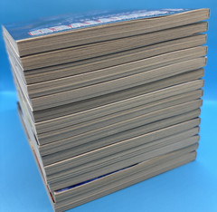 2010s Lot of 15 „I Survived” Scholastic Chapter Paperback Books- New, Never Read