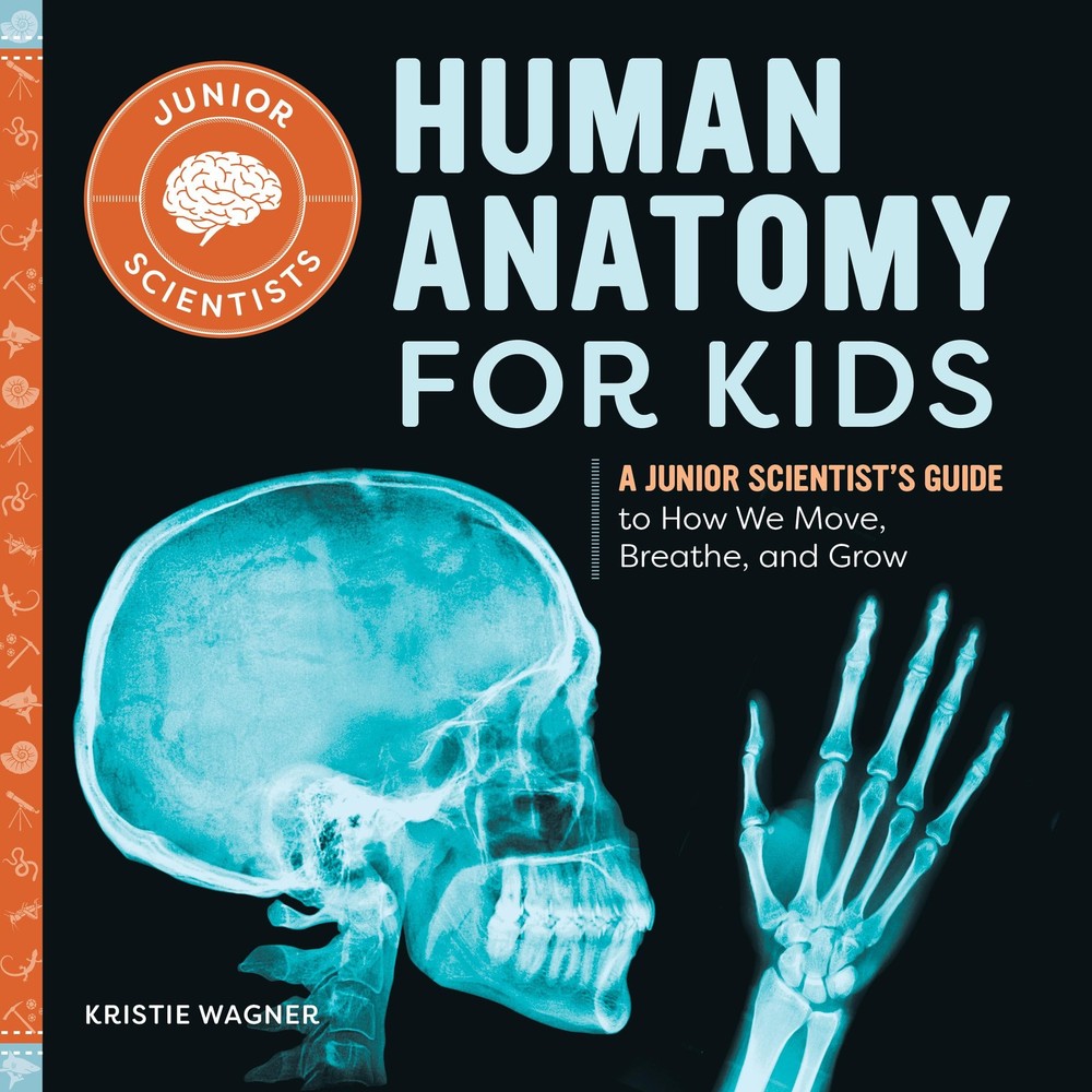 Human Anatomy for Kids: A Junior Scientist’s Guide to How We Move, Breathe, …