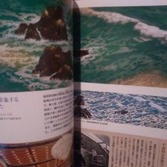 Kaii Higashiyama Art Book Life and Works Japanese Painter Beginner Guide