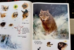 Noah’s Ark Rien Poortvliet First US Edition Abrams 1986 Illustrated HC Oversized