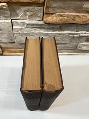 Alexandre Dumas Ange Pitou or Taking the Bastile Vol 1 & 2 Historical Fiction