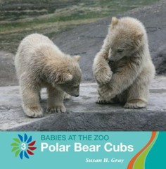 Polar Bear Cubs by Susan H. Gray (2020, Trade Paperback)