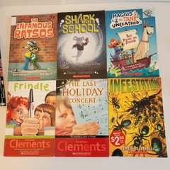 Boys 3rd/4th/5th/6th Grade Chapter Books Lot of 42 Homeschool PB Scholastic