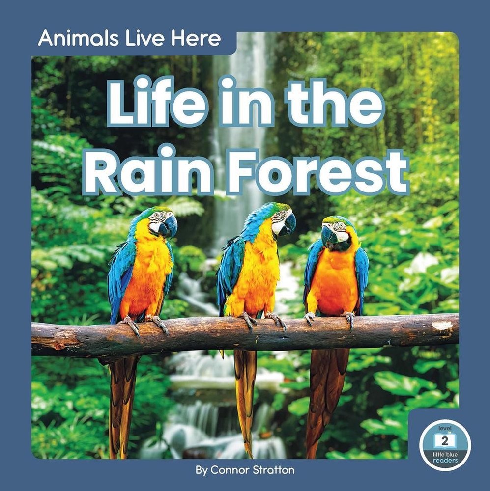 Life in the Rain Forest by Connor Stratton (English) Paperback Book