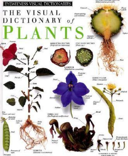 Plants by Deni Bown and Dorling Kindersley Publishing Staff Hardcover Book