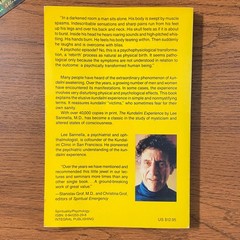 The Kundalini Experience: Psychosis or Transcendence by Lee Sannella, MD 1992 SC