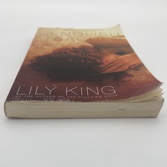 Peter Carey Lily King Literary Fiction Set Psychological Novels