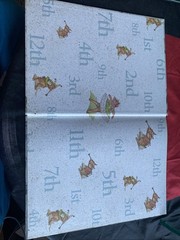 *KIDS* 🎅🏼 Twelve Days of Christmas by Don Daily (2007, Picture Book) $12.25!
