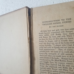 Antique 1922 BUMPER The White Rabbit by George Ethelbert Walsh HC Vtg Bit Rough
