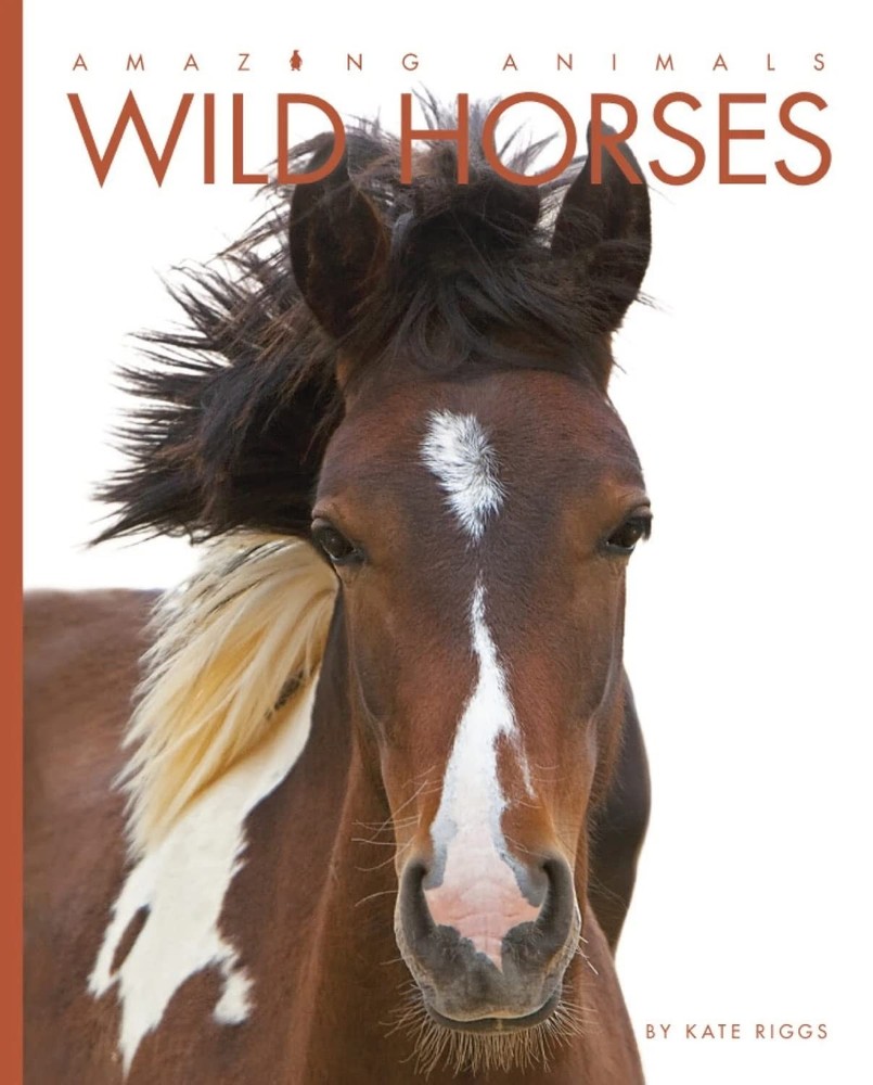 Amazing Animals: Wild Horses – paperback Riggs, Kate