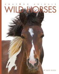 Amazing Animals: Wild Horses – paperback Riggs, Kate