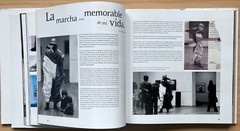 Chile Art History – Modern Sculpture Career Monograph – Artist Felix Maruneda