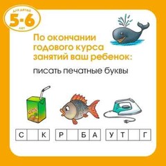 Грамотейка. Интеллектуальное развитие детей 5-6 лет Земцова