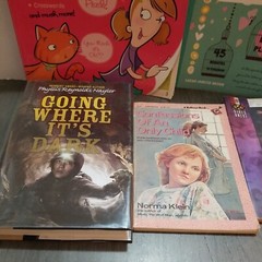 Lot of 10 Mixed Random Children’s Books and Young Adult Novels, Classic Stories