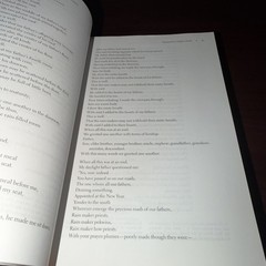 The New Anthology of American Poetry: Volume I: Traditions and Re