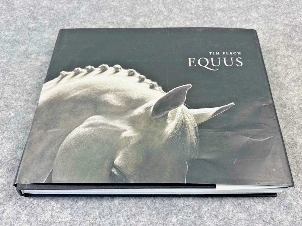Flach Equus (Hachette/International Edition)