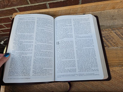 VG! TNIV Large Print Thinline Bible Deep Burgundy Bonded Leather OOP
