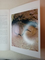 $3.45 – Discover New Zealand, booklet the New Zealand KIWI