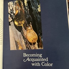 First Edition: COLOR The Essence of You Suzanne Caygill