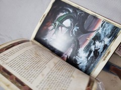 Dragon Chronicles by Malcolm Saunders (2002, Hardcover) (D)