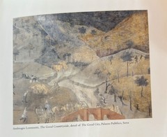 Francis Alÿs The Prophet and the Fly Text by Catherine Lampert